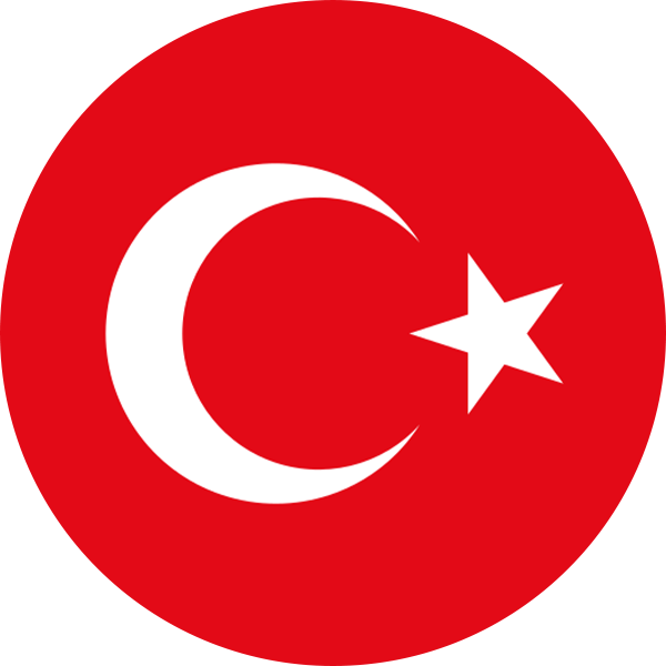 Türkiye bayrağı logo